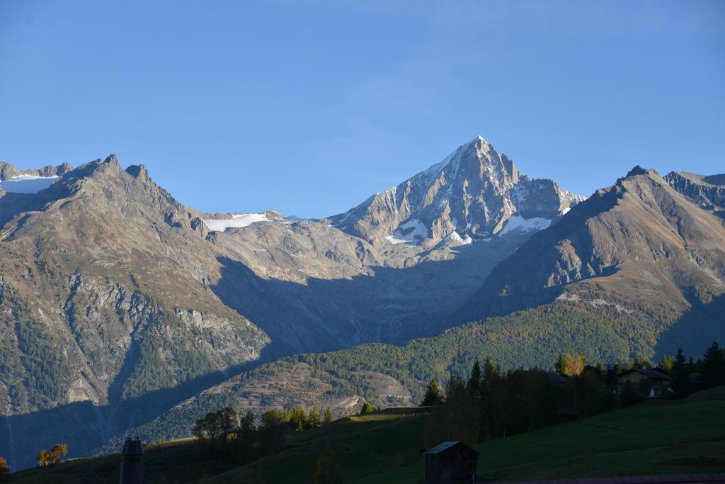 Hotel-Restaurant Ronalp Bürchen Exteriör bild